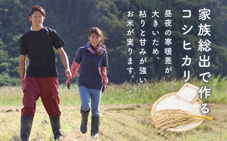 コシヒカリ 無洗米 10kg （5kg×2） 富山県氷見産 ＜2025年10月以降発送＞ 富山県 氷見市 米 コシヒカリ