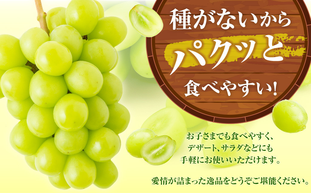 シャインマスカット（ハウス）5～8房 （約3kg）