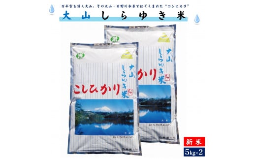 【新米】令和6年産 大山しらゆき米10kg（精白、コシヒカリ、5kg×2）