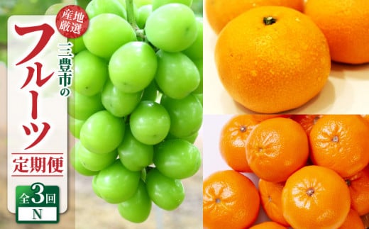 【ふるさと納税】産地厳選三豊のフルーツ3回定期便 N