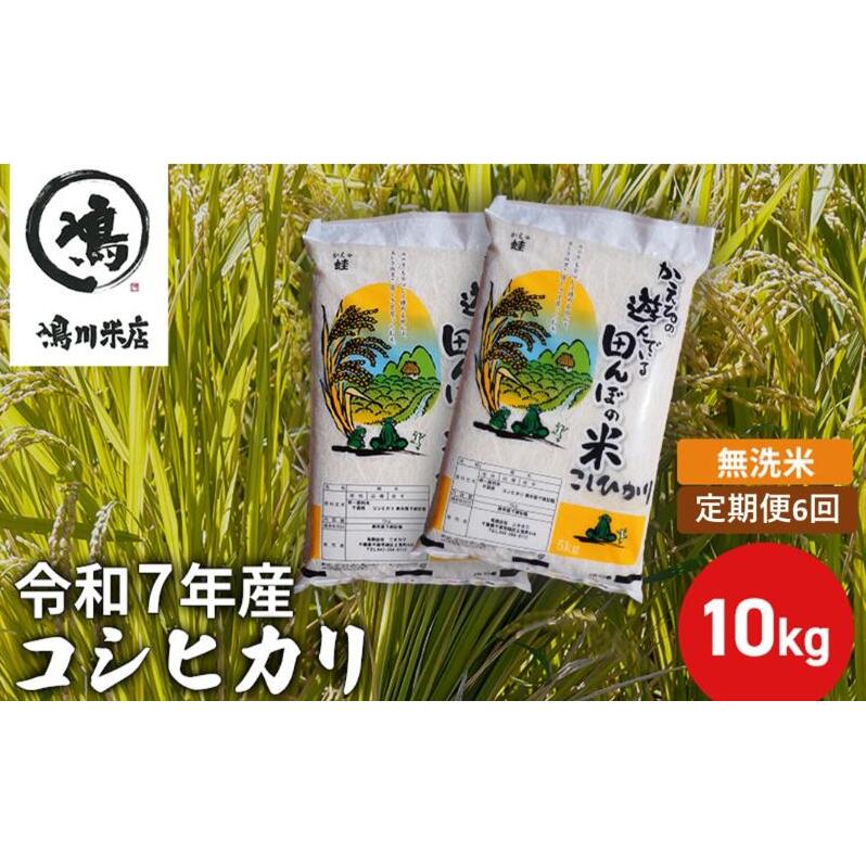 令和7年産　6ヶ月定期便　コシヒカリ　無洗米　10kg【定期便 お米 白米 粘り甘み】 精米 粘りつやつや 美味しい 新鮮 