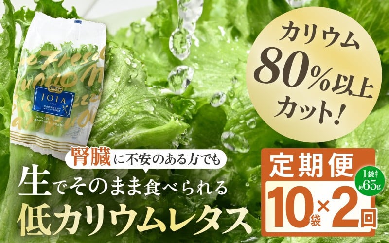 
                  定期便 ≪2ヶ月連続お届け≫ 【機能性×美味しさ】低カリウム水耕レタス JOIA（ジョイア） 約65g×10袋（栽培期間中農薬不使用・洗わず食べられる）【野菜 生野菜 レタス サラダ お弁当 水耕栽培 洗わず食べられる 時短 付け合わせ】[m40-b009]
                