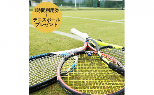 
【関西唯一】天然芝テニスコート（1時間）利用券＋テニスボールプレゼント
