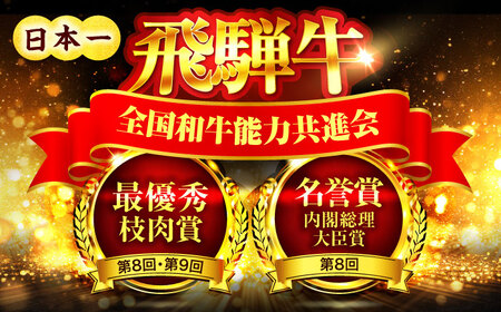 【6回定期便】＜A5ランク＞飛騨牛ヒレステーキ180g×4枚 計720g 総計4.32kg【有限会社マルゴー】土岐市 岐阜産 肉 お肉 牛肉 国産 和牛 牛肉 A5等級 霜降り 赤身 鉄板焼き BBQ