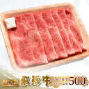 【ふるさと納税】 A5等級 飛騨牛 もも・カタ すき焼き しゃぶしゃぶ 500g 赤身 すきやき 肉 牛肉 お肉 和牛 冷凍 岐阜県 国産 ブランド牛 鍋 グルメ お取り寄せ 17000円 [S547]