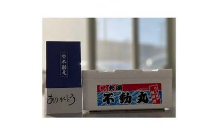 九十九里産 活け はまぐり 約8.0kg/85?110個位 九十九里浜 千葉ブランド認定品 天然 はまぐり はまぐり はまぐり はまぐり はまぐり 蛤 蛤 蛤 蛤 蛤