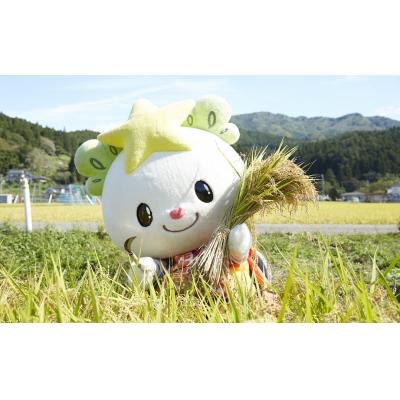 ふるさと納税 陸前高田市 令和7年産 たかたのゆめ 白米 5kg オフィスTOBA 米 お米 精米 ブランド米 岩手 |  | 03