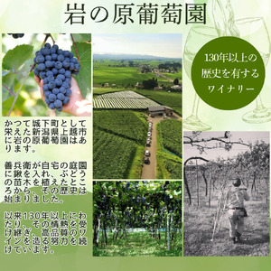 ワイン サクラアワード受賞 善スパークリングワイン ロゼ 2本 750ml スパークリング 酒 新潟 上越 最短3日で発送