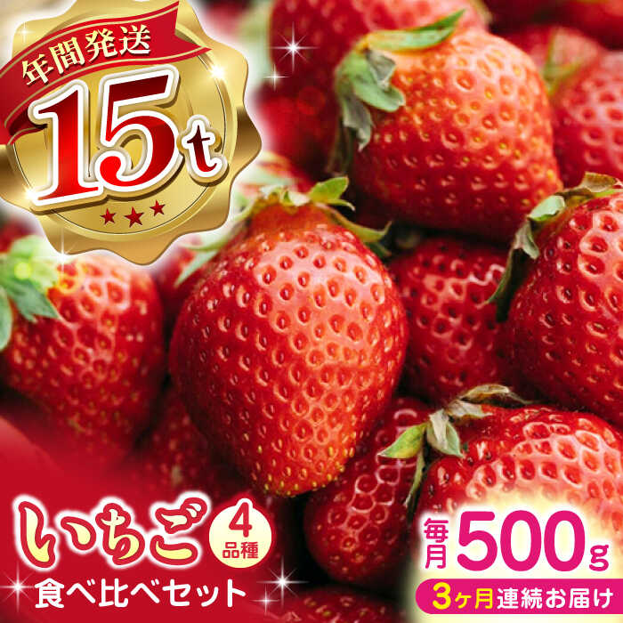 【ふるさと納税】【先行予約】【2025年12月より順次発送】【全3回定期便】いちご 食べ比べセット 総計1.5kg ( 250g × 2P × 3回 ) 農園直送 産地直送 熊本県産 山都町産 イチゴ 苺 ストロベリー フルーツ 果物 【なかはた農園】[YBI013]