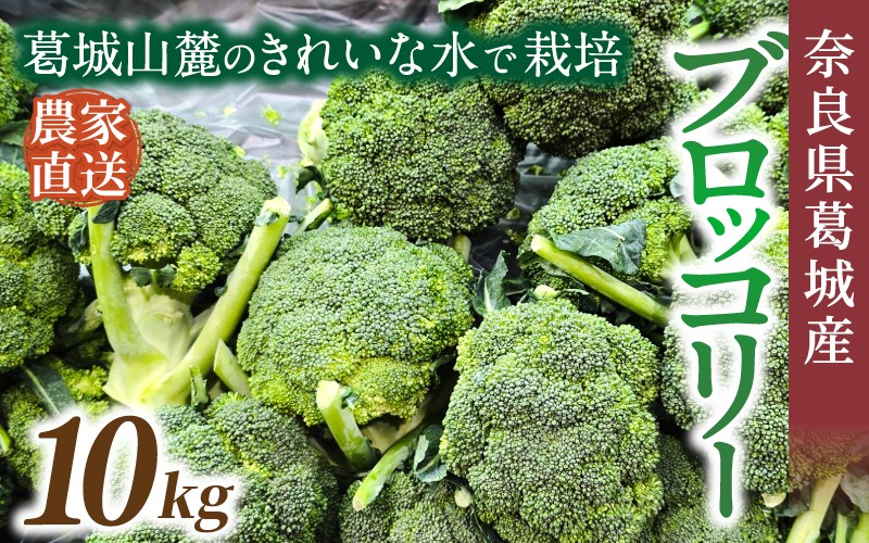 
                  奈良県葛城産 ブロッコリー 約10kg 【2025年11月上旬～5月下旬順次発送】／ スマイル葛城農業 大和野菜  ブロッコリー 農家直送 産直 新鮮 旬 名産 健康 美容 栄養 奈良県 葛城市【smlk070】
                