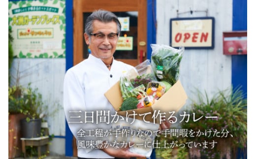 【全6回定期便】シェフ激選！栽培期間中農薬不使用！旬の野菜と、こだわりの手作りカレーセット