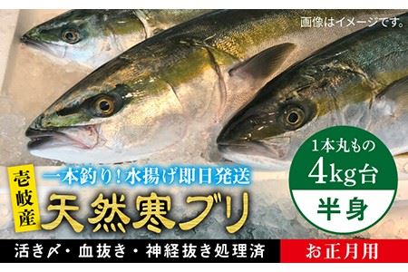 【11/1〜1/15お届け 年末年始用】天然 寒ブリ（一本丸ものサイズ4キロ台の半身ブロック） 《壱岐市》【壱岐島　玄海屋】[JBS018] ぶり 寒ぶり ブリ 魚 刺身 しゃぶしゃぶ 48000 48000円 のし プレゼント ギフト 冷蔵配送 九州