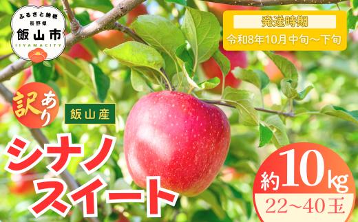【先行予約丨2026年10月中旬より順次発送】訳あり シナノスイート【約10kg (22〜40玉)】(At-022)丨長野県 飯山市 おすすめ ランキング おいしい 高評価 大人気 先取り 産地直送 りんご 訳あり 規格外