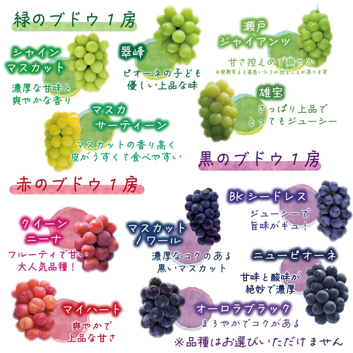 【2026年の先行予約】 花笑み農園 ぶどう『彩り３種セット』贈答用（1.8kg） 岡山 詰め合わせ 食べ比べ 真庭市 【hana084-01】