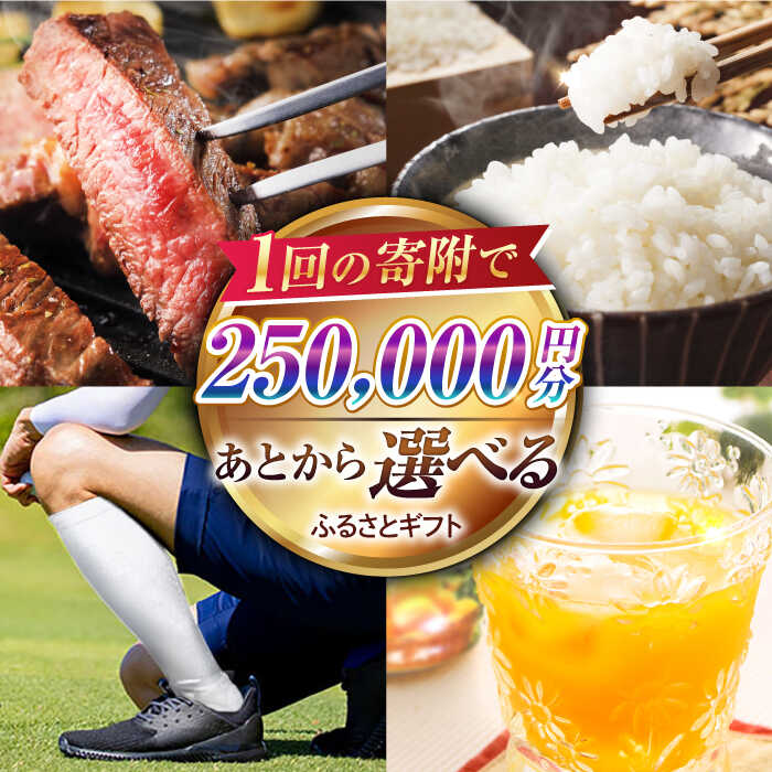 【ふるさと納税】【あとから選べる】江北町ふるさとギフト 寄附金額 25万円分【佐賀県江北町】[HZZ007]