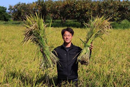 【令和7年度産】《新米》【11月下旬より順次発送予定】大和米　奈良県広陵町産ヒノヒカリ　白米5kg /// ひのひかり ヒノヒカリ ブランド米 白米 ご飯 お米 大和米 おにぎり おむすび 安心 安全