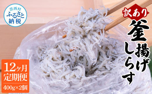 t199mmk　〈12ヶ月定期便〉訳あり 釜揚げシラス 500g×2個 定期便 定期コース 12ヶ月 しらす シラス 釜揚げ 新鮮 塩分控えめ 離乳食 わけあり ワケあり 不揃い しらす丼 海鮮丼 お