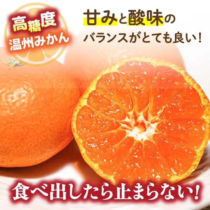 【2026年11月下旬-発送】【高糖度】温州みかん 約3kg / みかん ミカン 蜜柑 果物 フルーツ / 南島原市 / 南島原果物屋[SCV021]