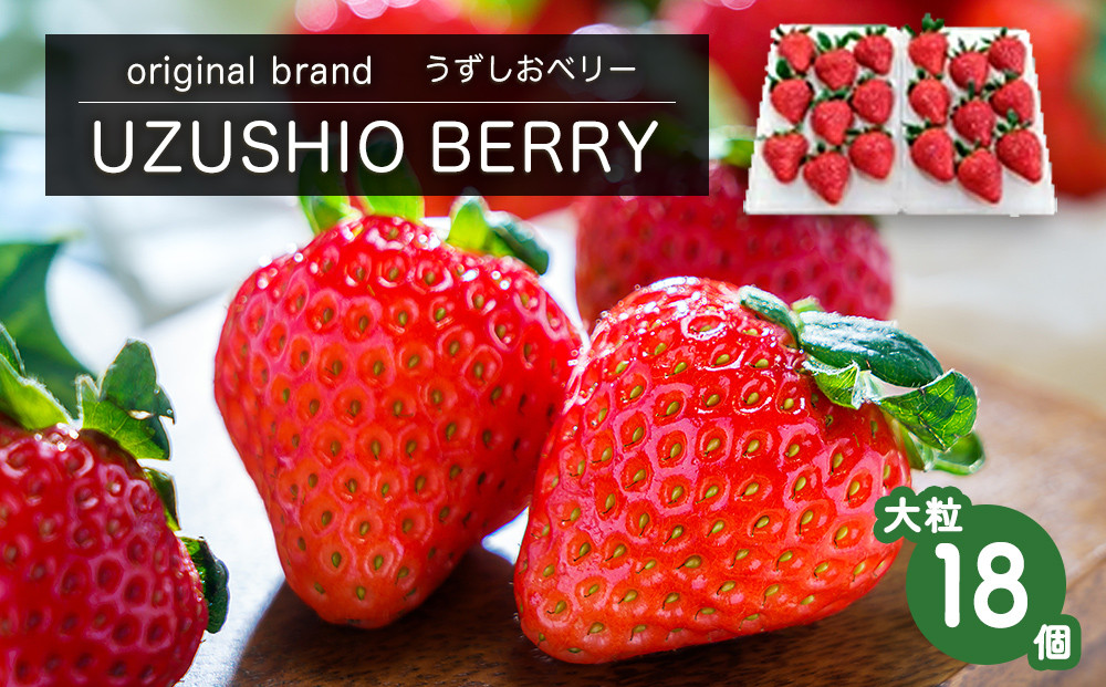
            【朝摘みをお届け！】【 予約受付中・2025年12月中旬頃より順次発送 】 フルーツガーデンやまがたのいちご「うずしおベリー」大粒18個 【数量限定】 苺 いちご イチゴ 徳島 鳴門 果物 フルーツ ギフト 甘い 旬 紅ほっぺ
          