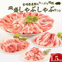 【ふるさと納税】宮崎県産豚 皿盛 しゃぶしゃぶ 切り落し セット 合計1.5kg 豚肉 お肉 食品 豚ロース 豚肩ロース 豚バラ 豚切り落とし 国産 冷凍 真空パック 宮崎県 宮崎市 送料無料