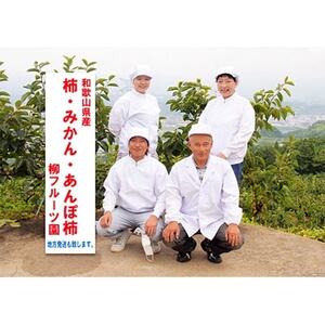 柳フルーツ園のたねなし柿　5kg【1077823】