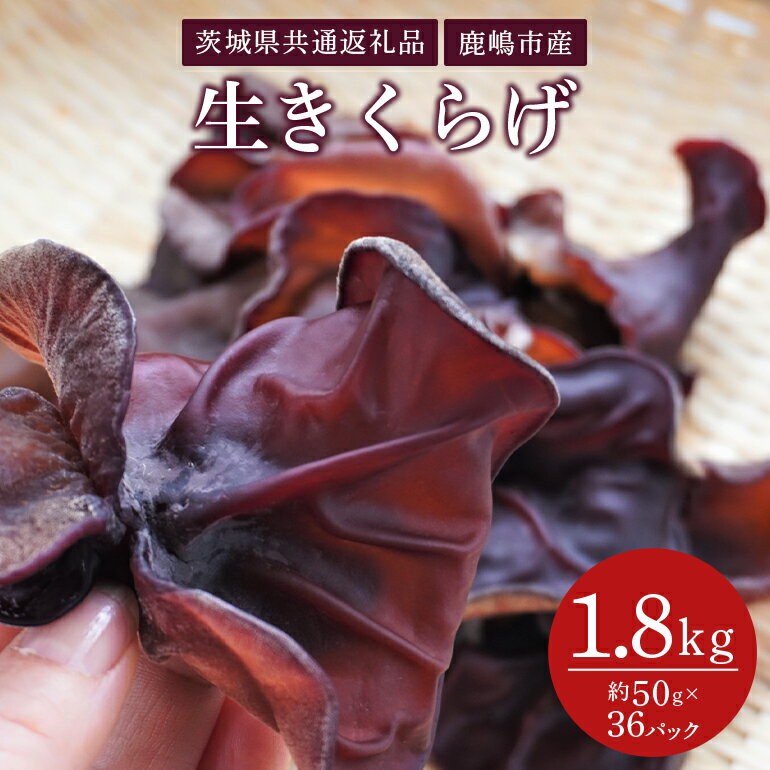 【ふるさと納税】きくらげ 50g×36パック（茨城県共通返礼品・鹿嶋市産）