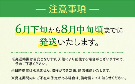 《先行予約》マスクメロン 3玉 プレミアム メロン 伊良湖メロン男子