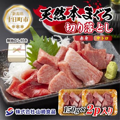ふるさと納税 十日町市 【熨斗付き】天然本マグロ 切り落とし 赤身 中トロ 150g×2パック 計300g 新潟県十日町市