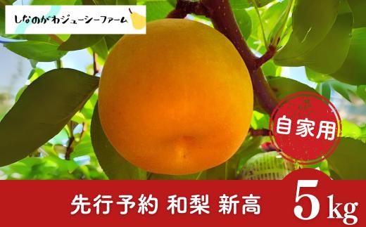 先行予約 和梨 新高 自家用 約5kg 令和8年度 新潟県 三条市産 梨 [しなのがわジューシーファーム]【010S491】
