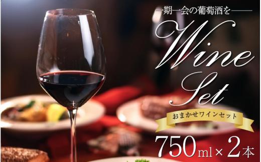ワイン おまかせ 750ml 2本 セット Natan 葡萄酒 醸造所 酒 国産 国産ワイン 国産 プレゼント 贈答用 ギフト 記念 グルメ 送料無料 徳島県 三好市 みよし ナタン NATAN  
