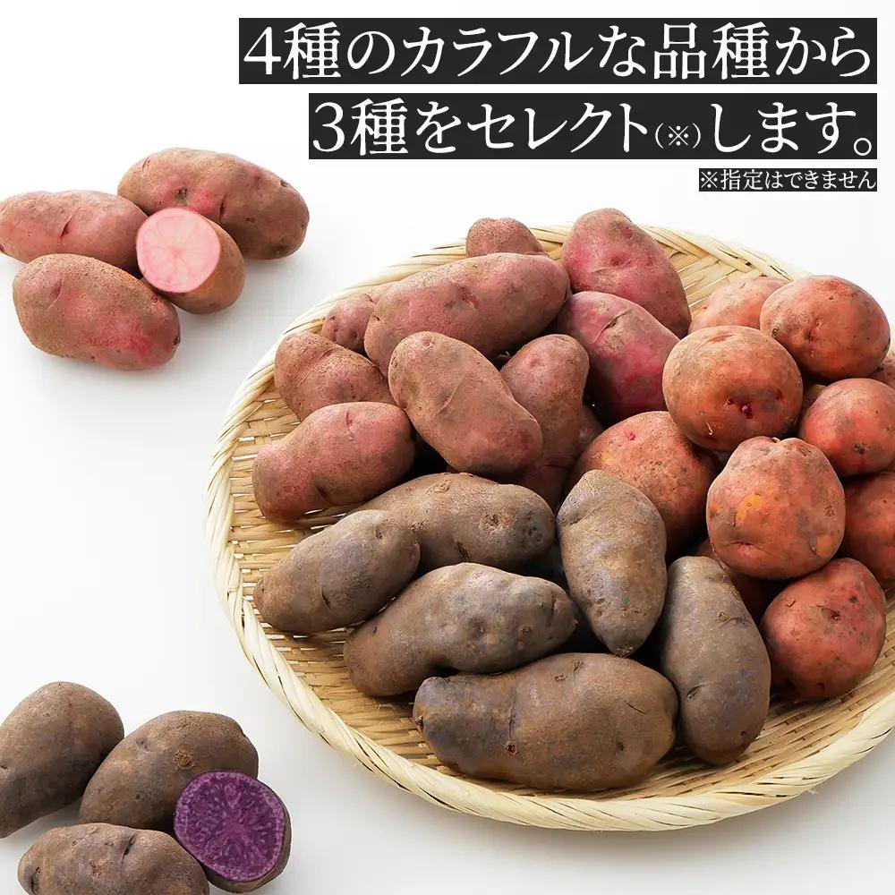 2026年産 先行予約 北海道産 カラフルじゃがいも 3種セット 計6kg 上士幌町加藤農場 馬鈴薯 芋 イモ 野菜 詰め合わせ　◆2026年12月配送予定