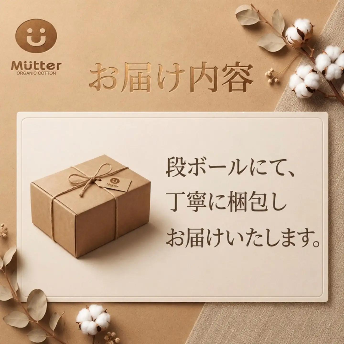 ペット スタイ Sサイズ 3枚セット
