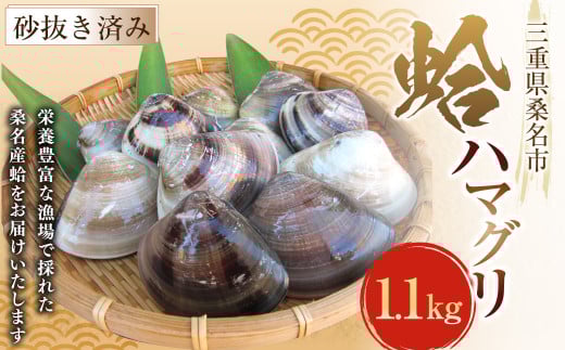 丸元水産 桑名産蛤 （ハマグリ） 1.1kg はまぐり 魚介 貝 魚貝 活はまぐり 焼きはま 海鮮 網焼き 酒蒸し お吸い物 パエリア パスタ 023-0002
