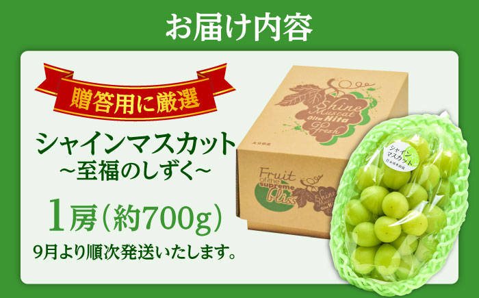 【先行予約・9月発送】 日田産シャインマスカット 1房 約700g　〜至福のしずく〜　日田市 / 松岡果樹園 [AREJ001]