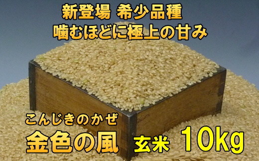 【令和7年産】【玄米10kg】新米 新登場の高級米 岩手県奥州市産 金色の風  玄米10キロ [AC030]