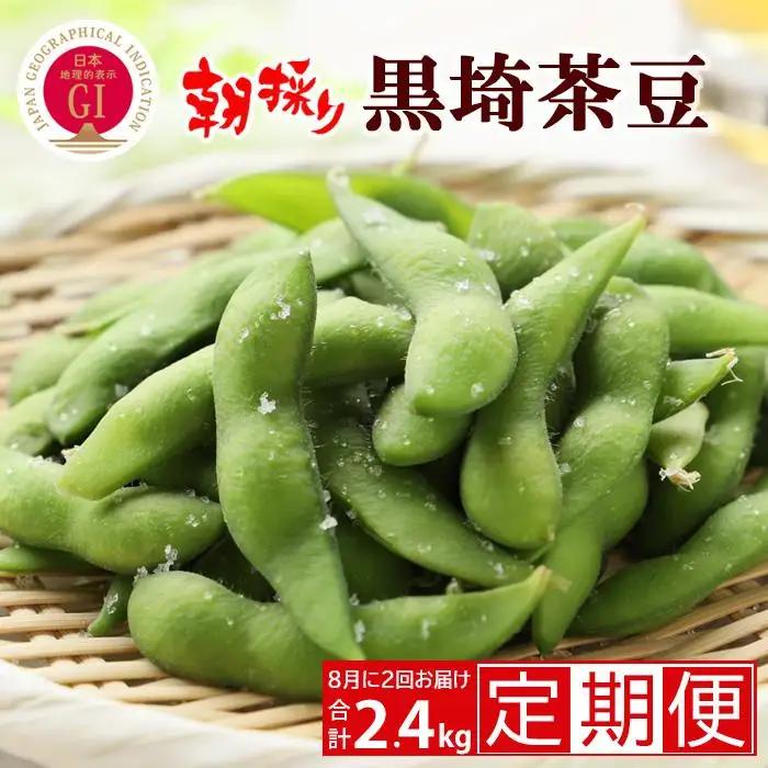 【先行予約・2回お届け定期便】朝採り くろさき茶豆 1.2kg×2回（計2.4kg）｜芳醇な香りと濃厚な旨み〈GI登録産品〉2027年8月発送