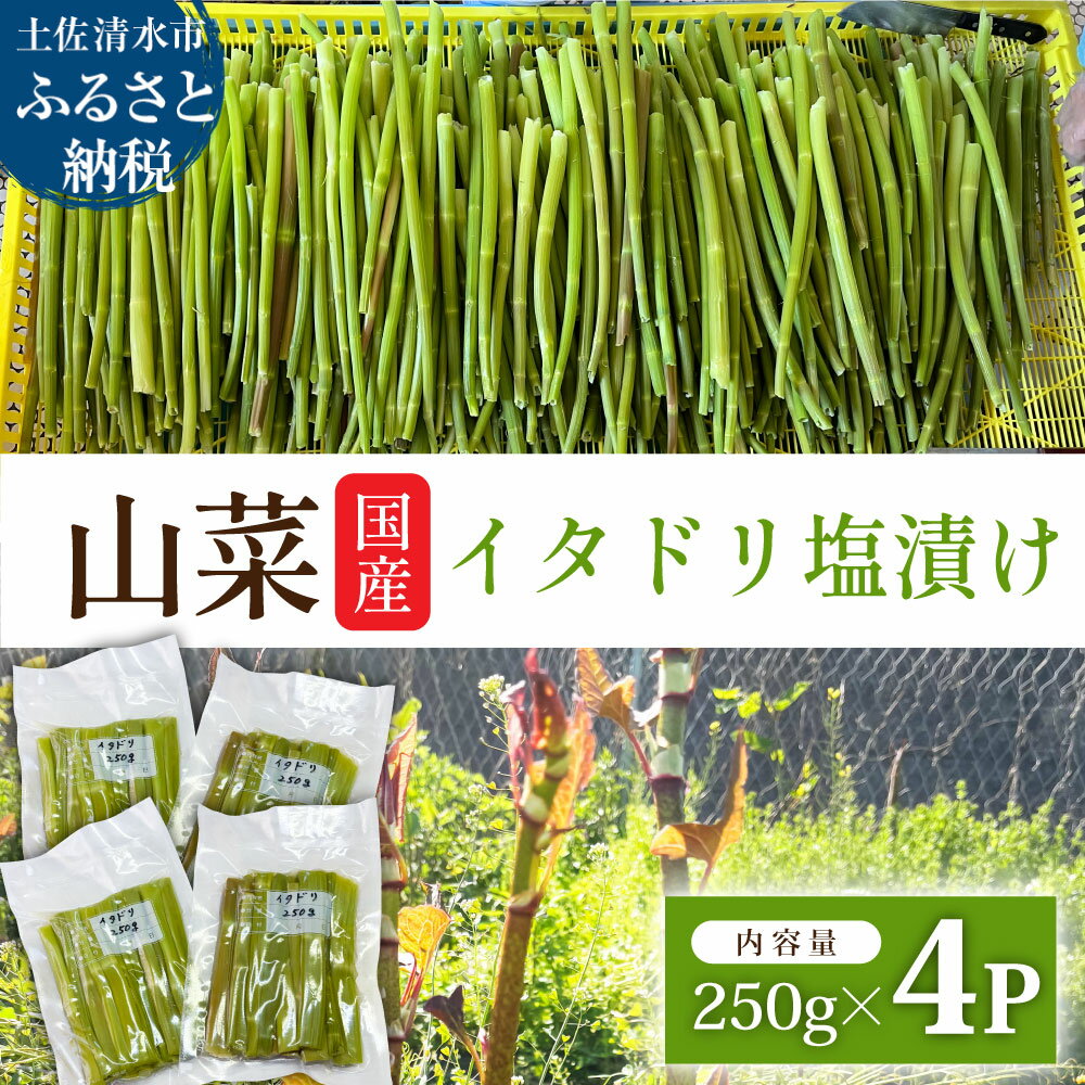 【ふるさと納税】イタドリの塩漬け 250g×4パック 1kg 1キロ 山菜 いたどり 下処理済み 野菜 春の食材 虎杖 スカンポ イタズリ 炒め物 食品 お取り寄せ 真空 冷凍 配送 高知県 土佐清水市 故郷納税 返礼品 高知 送料無料【R01449】