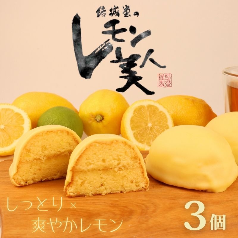 レモン美人 3個 レモンケーキ レモン 檸檬 ケーキ お菓子 焼菓子 スイーツ デザート レモンチョコ チョコ チョコレート ギフト プチギフト プレゼント お試し お土産 結城堂 新潟県 新発田市 yukido005_01
