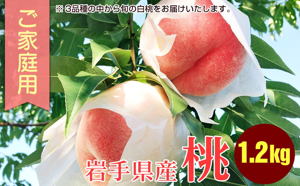 白桃 家庭用 1.2kg 約4～6玉 桃 モモ もも 果物 くだもの フルーツ 旬の果物 旬のフルーツ 季節の果物 季節のフルーツ 岩手 岩手県 盛岡市