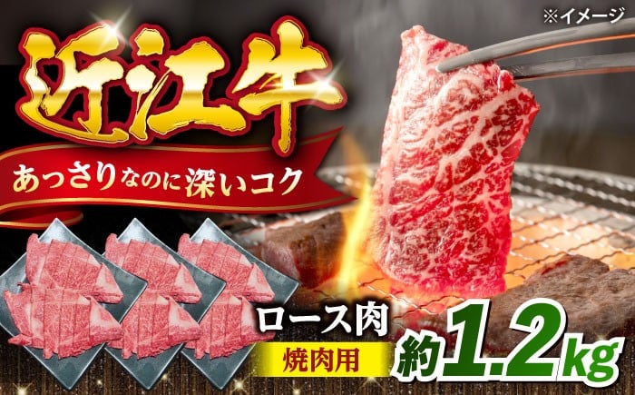 
                  近江牛 焼肉 ロース 1.2kg 滋賀県長浜市/有限会社旭ミイト [AQDB025] 近江牛 赤身 スライス 国産牛肉 肉 お肉 おにく 和牛 牛国産 焼き肉 やきにく 焼き肉用 牛肉 バーベキュー BBQ お取り寄せ 人気 プレゼント ギフト 贈答 ロース ロース肉 おすすめ 日本三大和牛 国産牛 ヘルシー ブランド牛 滋賀県 長浜市
                