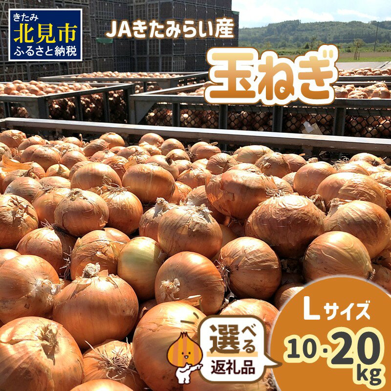 【ふるさと納税】【予約】JAきたみらい産 玉ねぎ Lサイズ 10kg 20kg