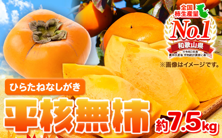 先行予約 和歌山秋の味覚 平核無柿 (ひらたねなしがき)約7.5kg 株式会社魚鶴商店《10月上旬-11月上旬頃出荷》 和歌山県 日高町 柿 カキ かき たねなし ジューシー フルーツ---wsh_uot71_10j11j_24_21000_75---