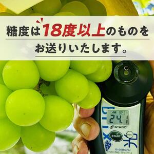 ぶどう 2026年  シャインマスカット 秀品 約3kg 合計5～7房 農林大臣賞受賞  家庭用 ギフト 贈答用 贈り物 岡山 果物 フルーツ  採りたて発送 農家直送 数量限定 新鮮