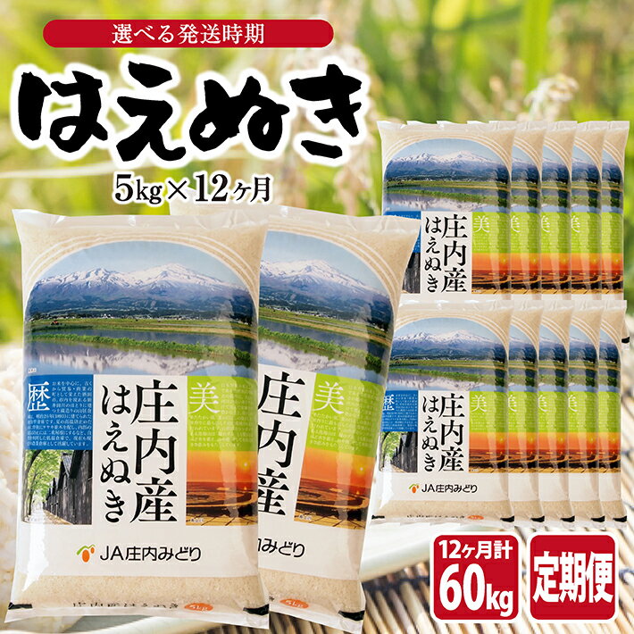 【ふるさと納税】≪12ヶ月定期便≫ はえぬき5kg×12ヶ月連続 計60kg 山形県庄内産 ご希望期間の毎月中旬頃お届け JA 農協 産地直送 精米 白米 庄内米 東北 遊佐町