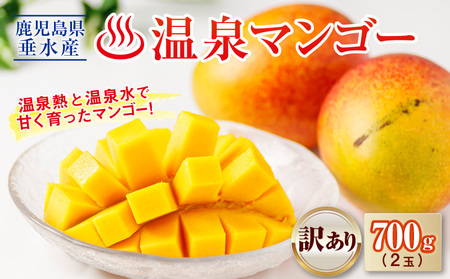 W-22201／【訳あり品】鹿児島産 温泉マンゴー 700g 期間限定 【2026年夏発送】