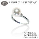 【ふるさと納税】 アコヤ真珠 リング 8.5mm 天成真珠 アクセサリー ファッション リング 指輪 ジュエリー akoya 本真珠 真珠 パール 越し物 高級 プレゼント 贈り物 贈答品 贈答用 お祝い 誕生日 成人式 卒業祝 就職祝い 記念日 特産品 国産 愛媛 宇和島 A530-114020