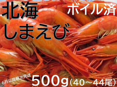 新物 北海縞海老（シマエビ) 500g Sサイズ 40~44尾 えび しまえび 北海道しまえび エビ 海老 冷凍 ボイル済 冷凍