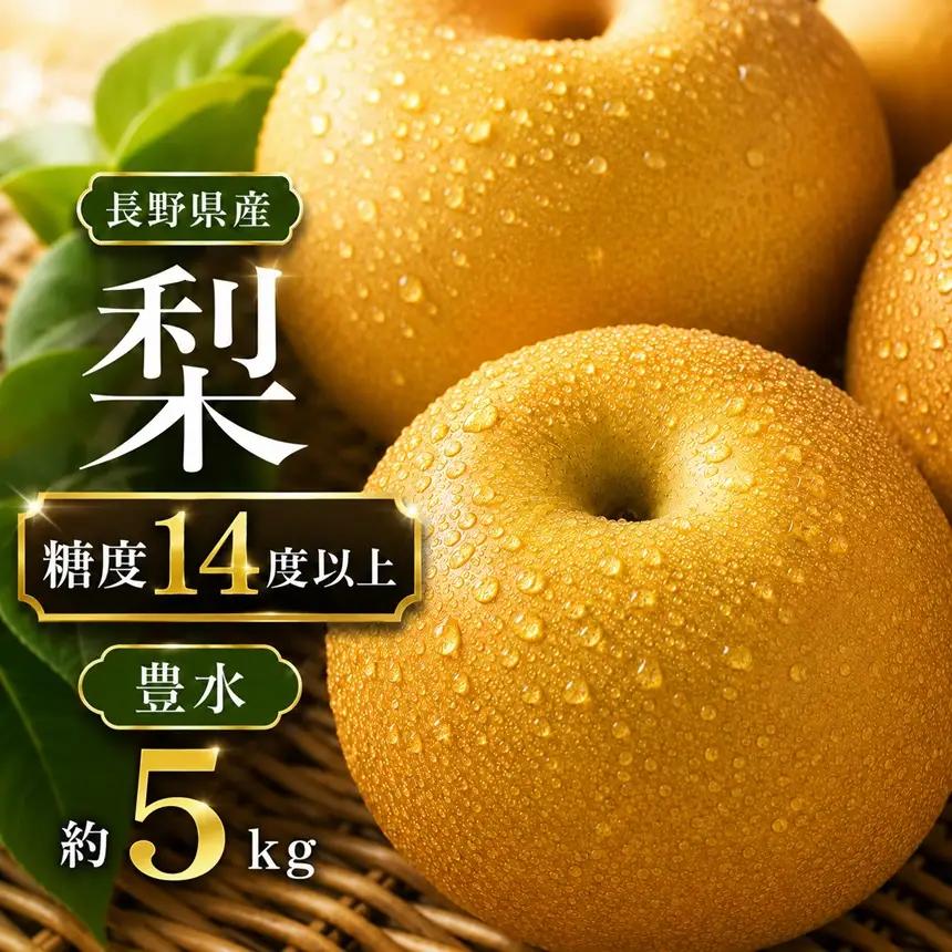 梨 豊水 糖度 14度 以上 約5kg 【2026年月9月上旬～発送】