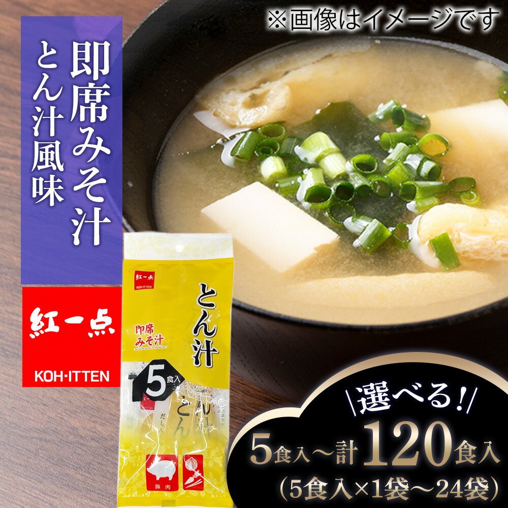 【ふるさと納税】とん汁 インスタント 味噌汁 みそ汁 即席 選べる1袋～24袋 1袋5食入 豚汁 【紅一点】《千歳工場製造》岩田醸造 紅一点 みそ 味噌 北海道【北海道千歳市】ギフト ふるさと納税