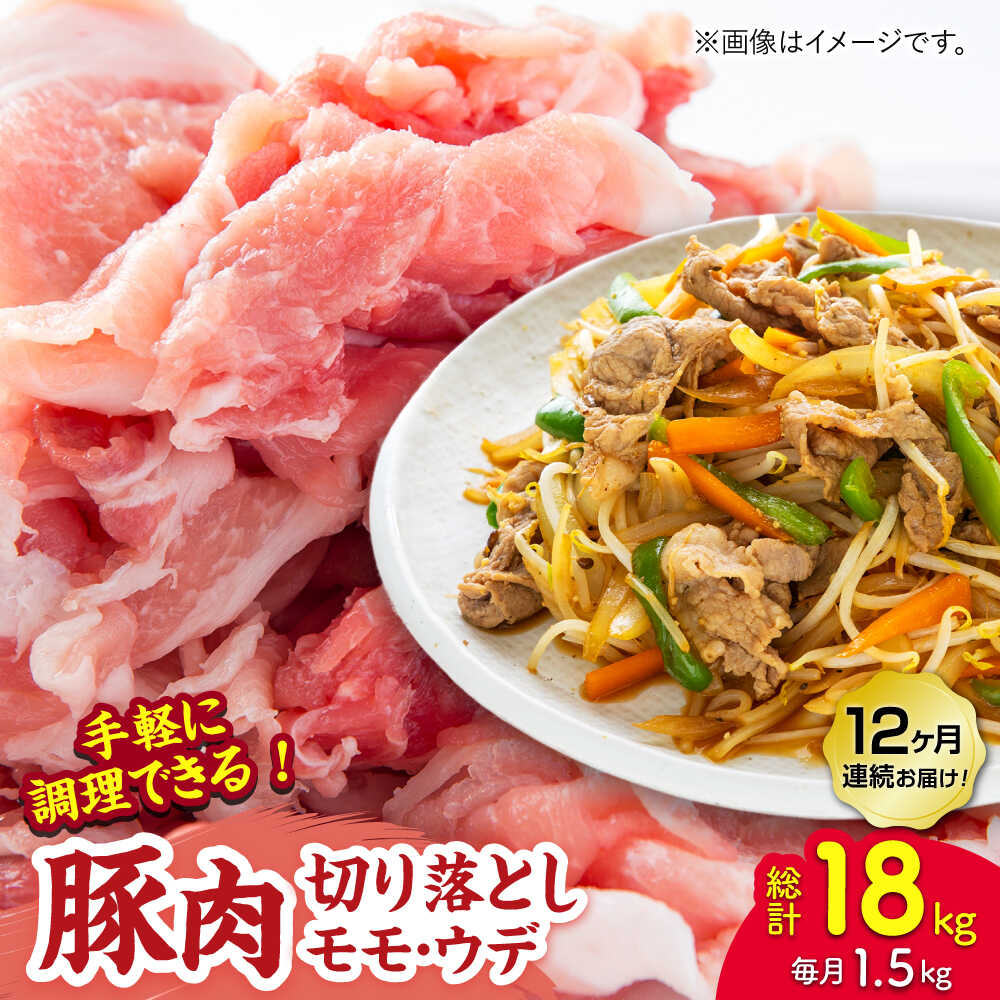 【ふるさと納税】【12回定期便】豚肉切り落とし（モモ・ウデ部位指定なし）約1.5kg（約300g×5pc）【吉里精肉】[ZEW086] 豚肉 豚 肉 産地 国産 冷凍 手軽 簡単 部位 山鹿 小分け パック モモ ウデ 切り落とし カレー 肉野菜炒め 熊本県 ぶた にく おすすめ 人気 送料無料